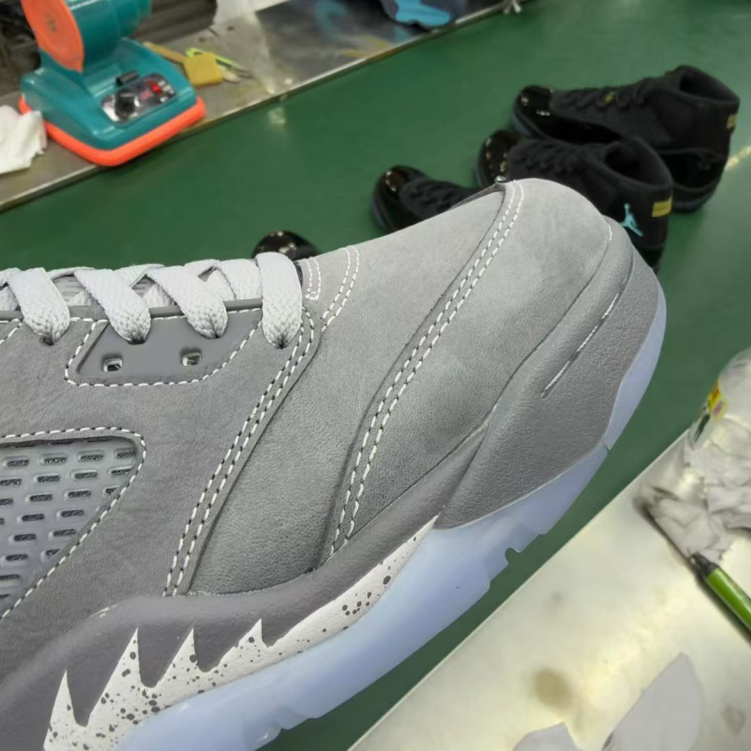 Nike Jordan shoe